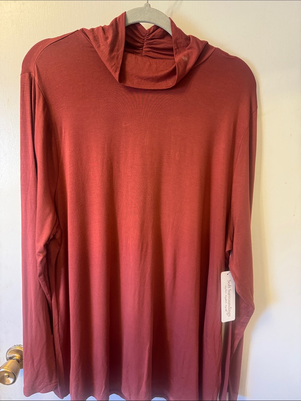 Soft Surroundings Rust Hooded Long Sleeve Tunic